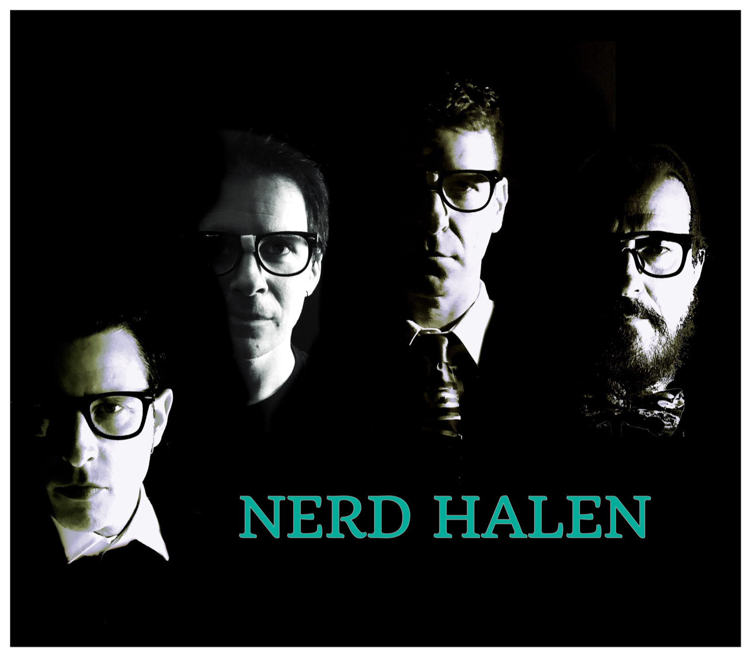 Nerd Halen