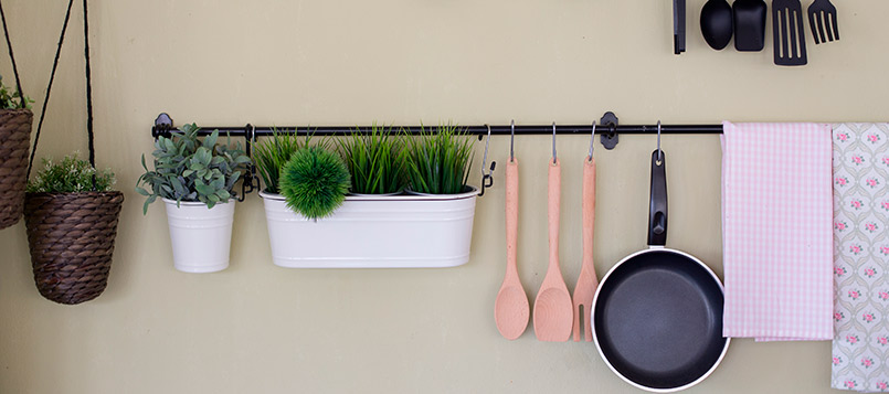 plantas-cocina