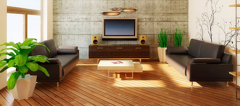 plantas-salon
