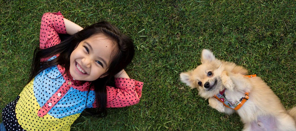 protege-a-tu-familia-y-a-tu-mascota
