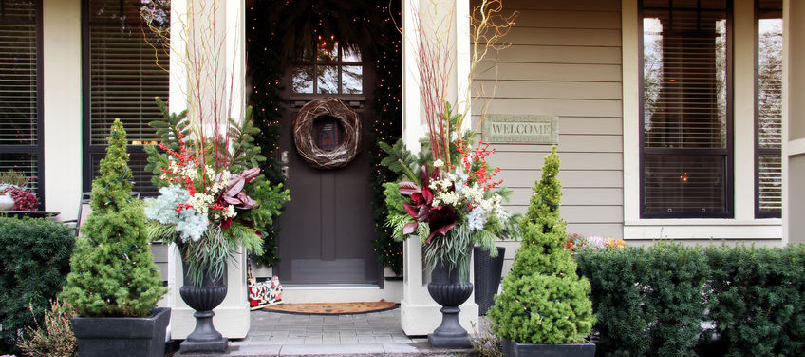 Descubre las mejores flores de la navidad