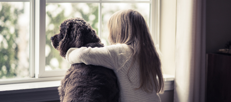 Qué hacer con tu mascota en invierno