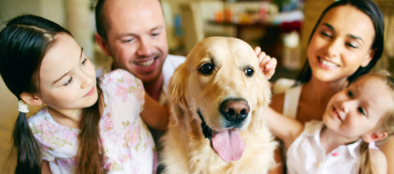 pasos-para-adoptar-un-perro-1