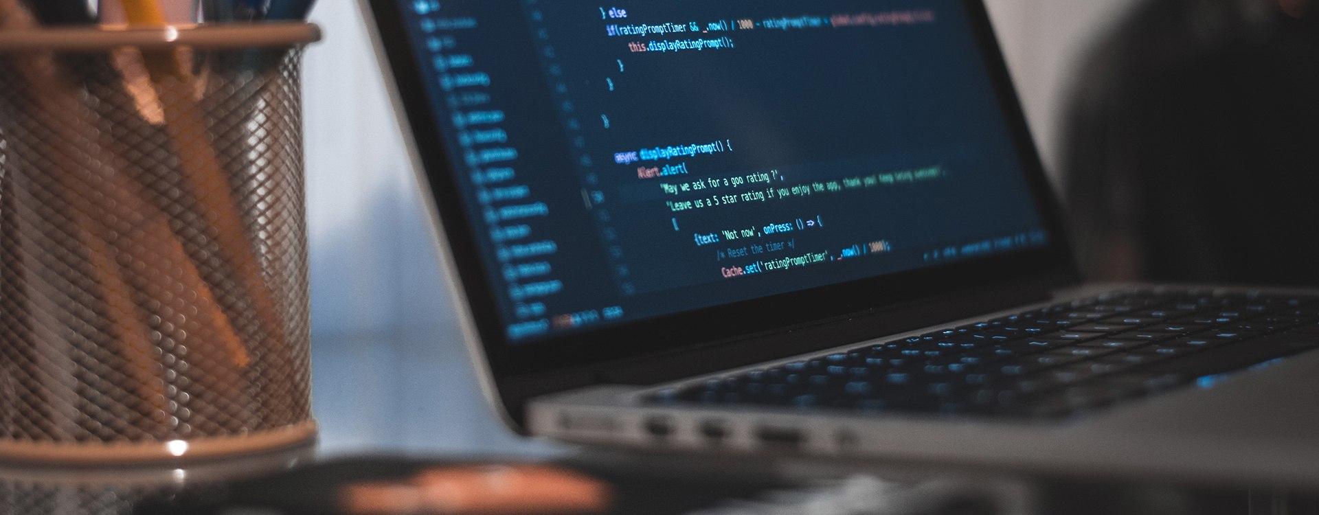 PHP Developer Jobs Paddywagon Tours