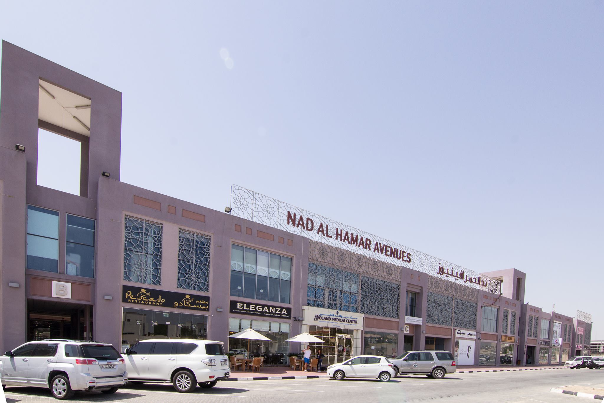 Nad Al Hamar Avenue