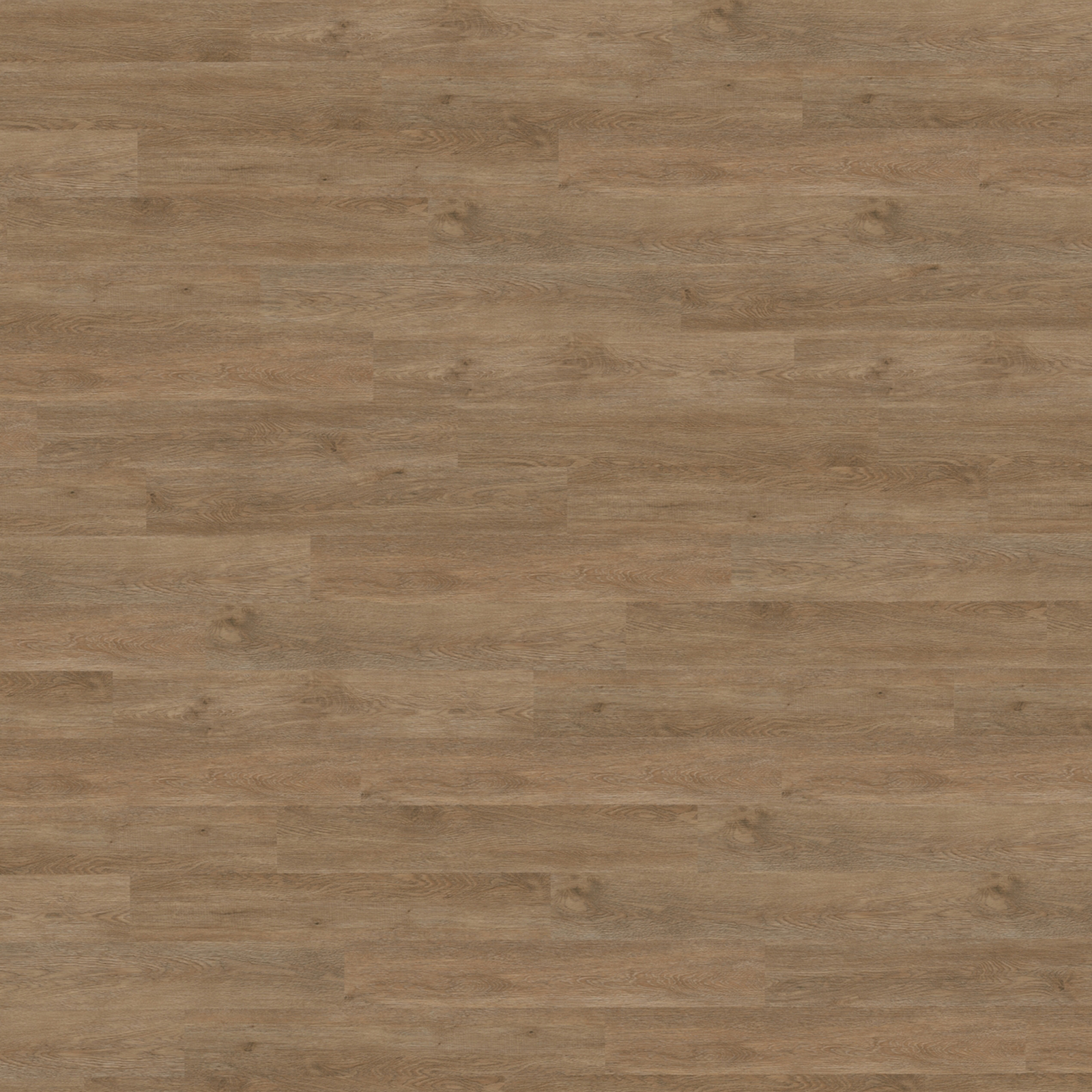 Vinylboden PVC Klick Bodenbelag Eiche Basic Bonn elegant Dämmung Leisten
