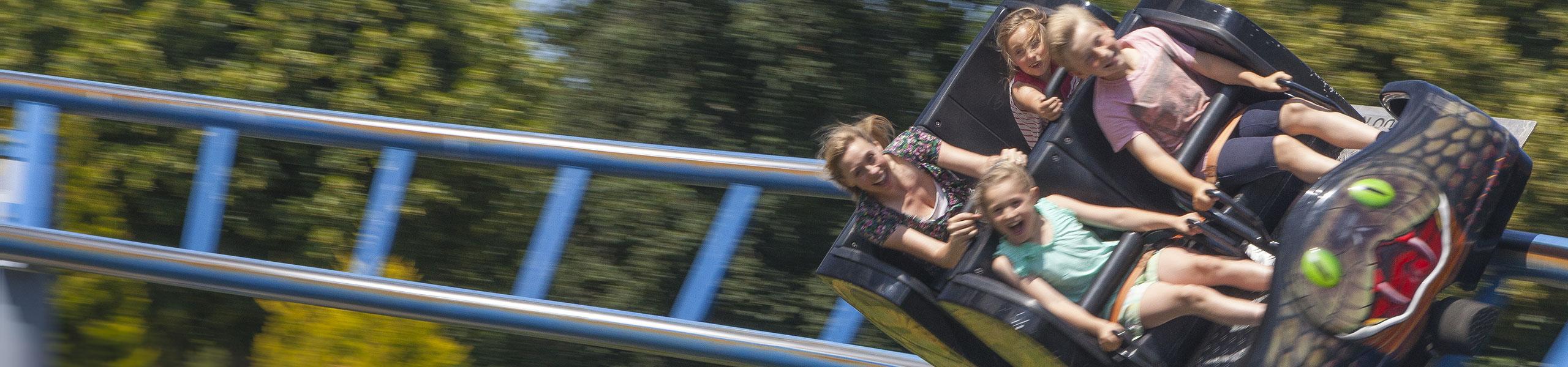 Rides Banner