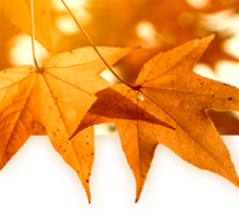 5 scootmobiel tips om de herfst door te komen