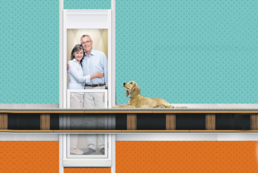 Home Category Homelift 1