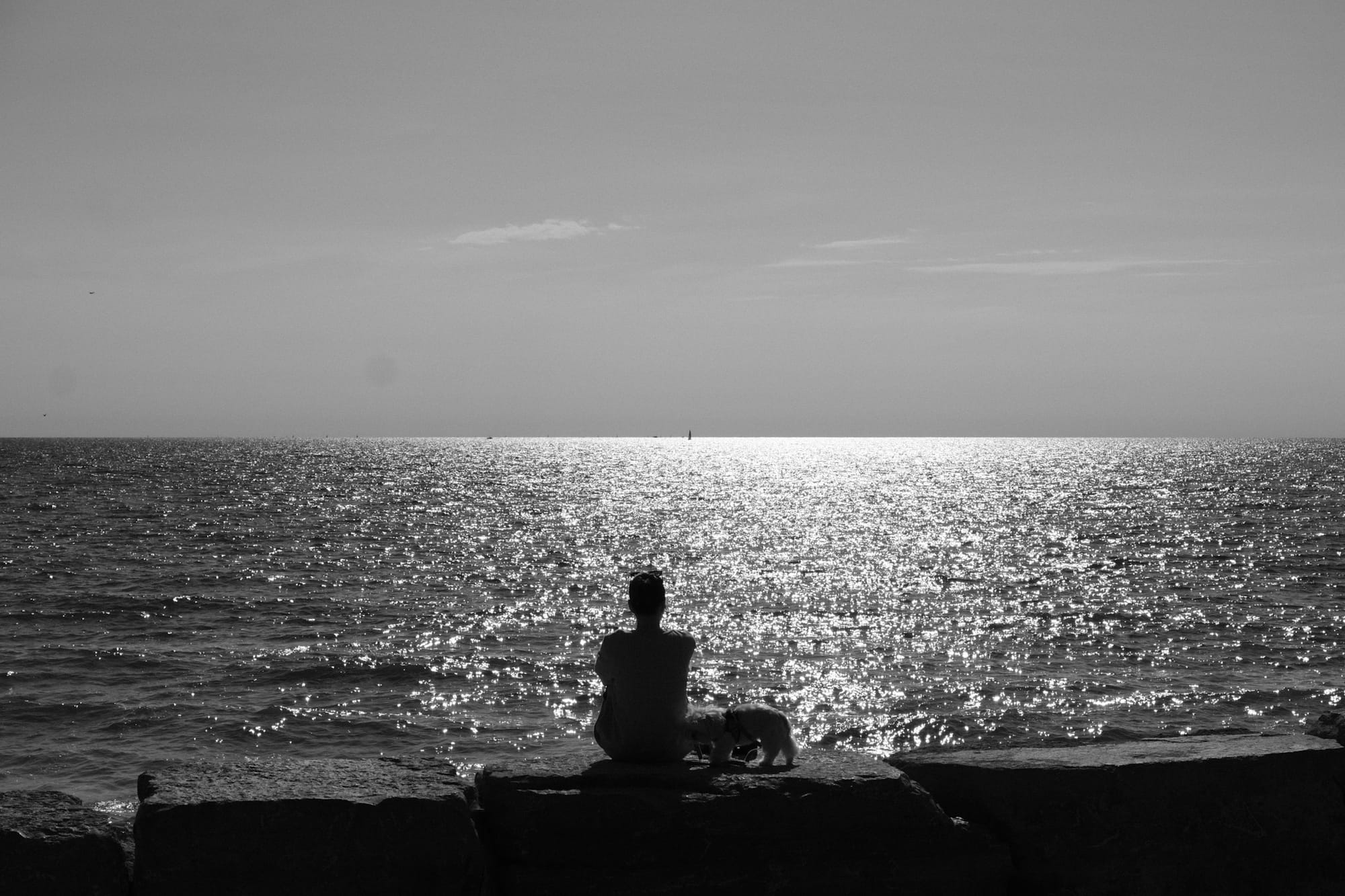 Contemplating Lake Ontario
        loading=