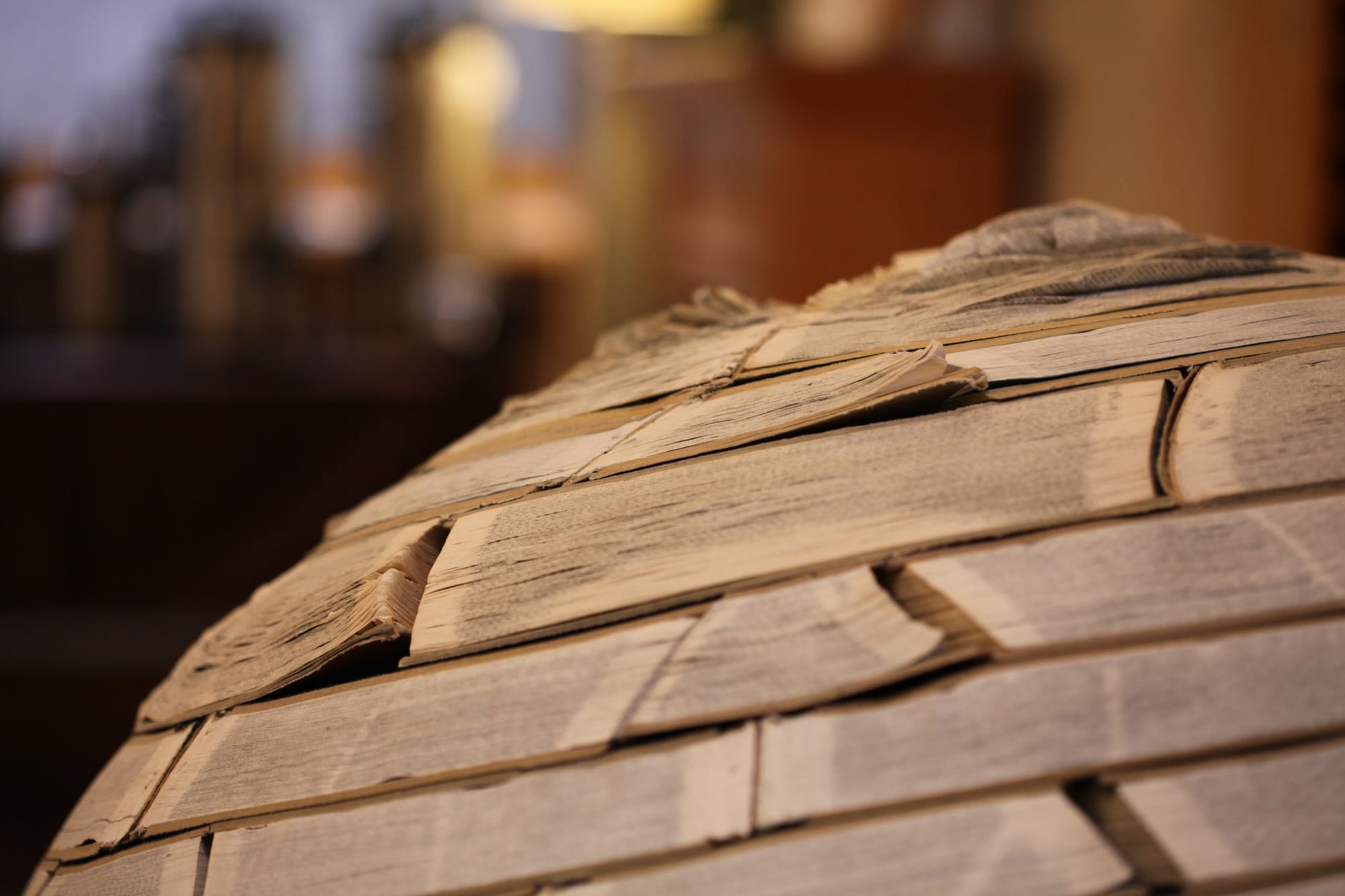 Tellebration 2010, Minneapolis Center for Book Arts, Minneapolis, Minnesota