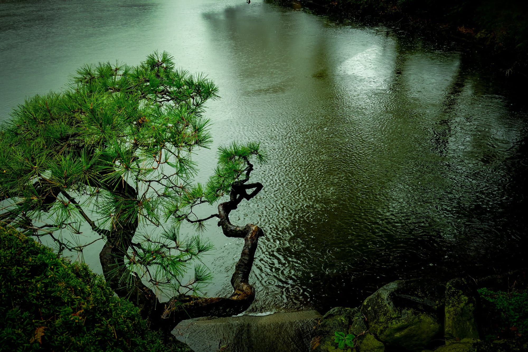 To the End of a Long Hard Winter