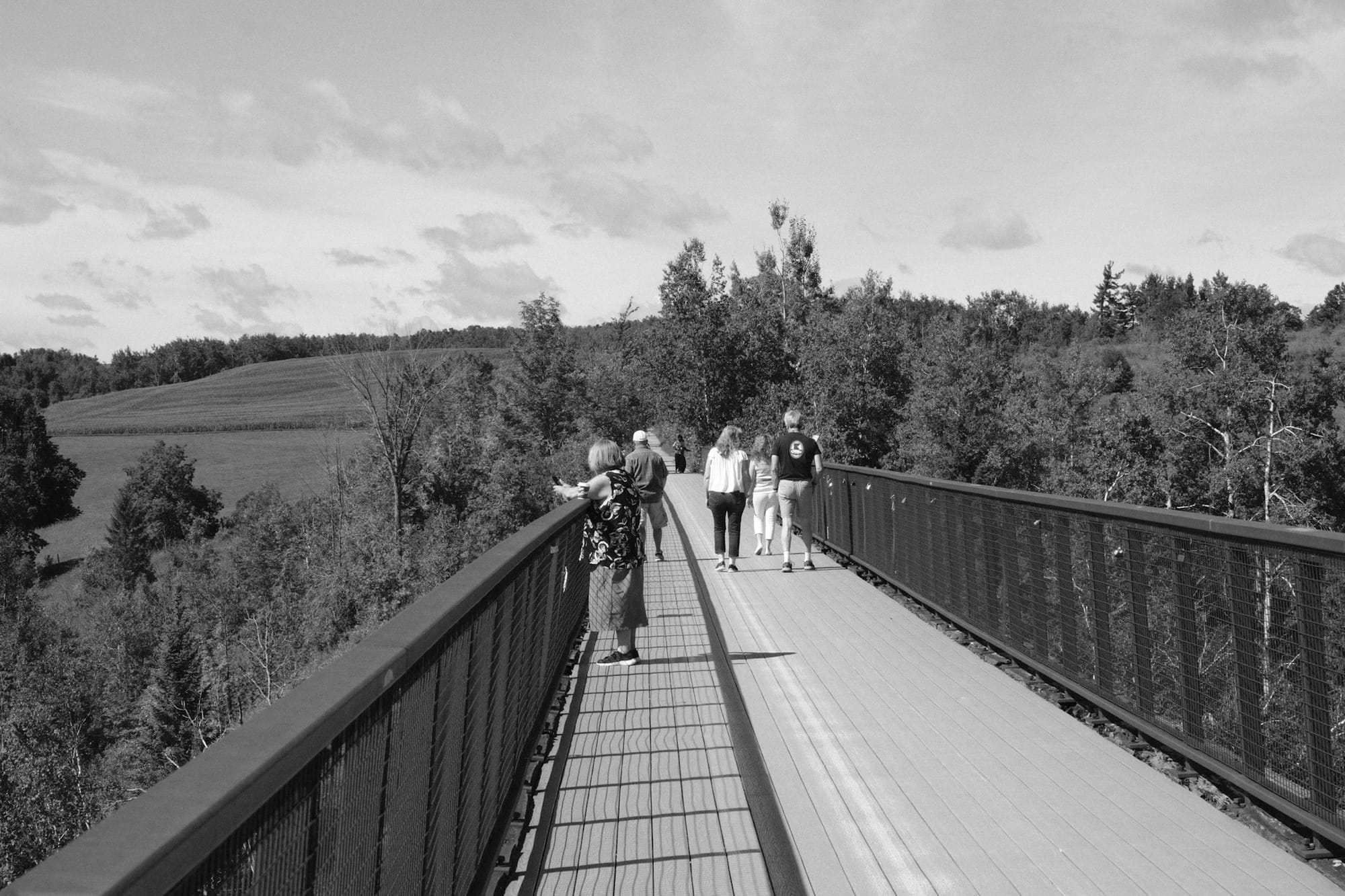 Doube's Trestle Bridge