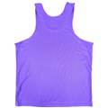 Borrowdale FR Men's Vest
