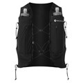 Montane Gecko VP+