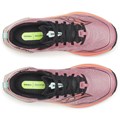Saucony Womens Peregrine 16