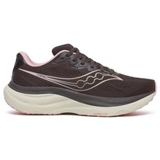 Saucony Womens Ride 19 | Torte / Eggshell