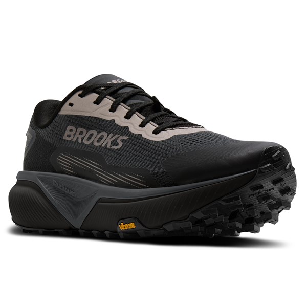 Brooks Mens Cascadia 20 GTX