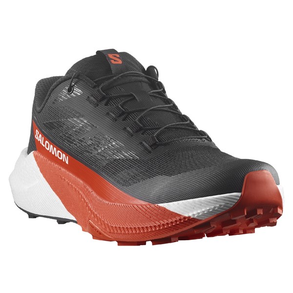 Salomon Mens Pulsar