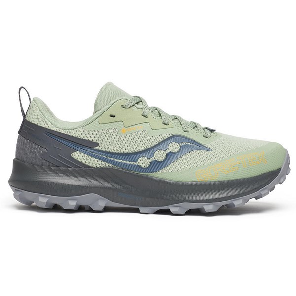 Saucony Womens Peregrine 14 GTX - Main Image