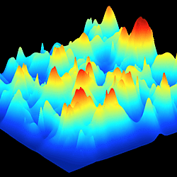 2D rugged fitness landscape