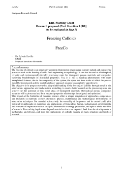 Erc starting grant proposal structure picture