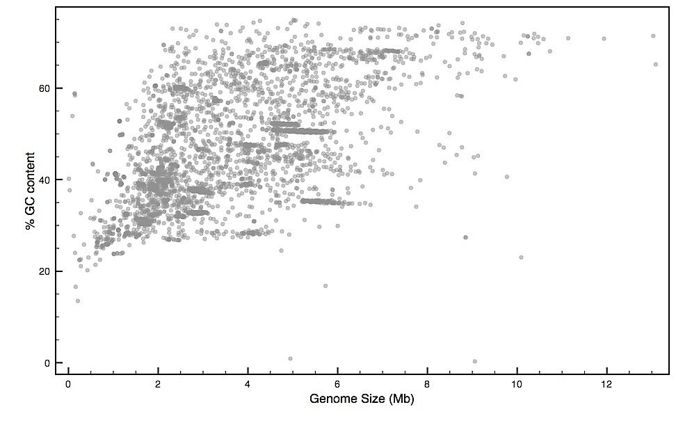 gc content vs genome size of 4231 bacteria genomes bacteria size