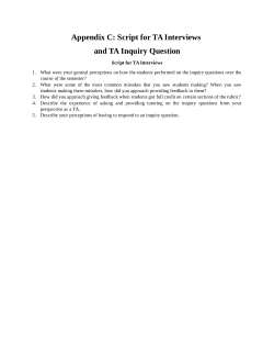 Appendix C - TA Interview Script
