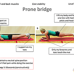 Prone Bridge