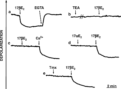 Advise sperm plasma membrane thanks for Absolutely not sperm plasma membrane agree, the