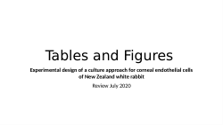 Morphology Analysis of CEC using SQQQ media