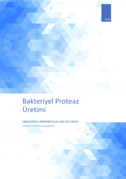 Bakteriyel Proteazlar ve Kullanım Alanları