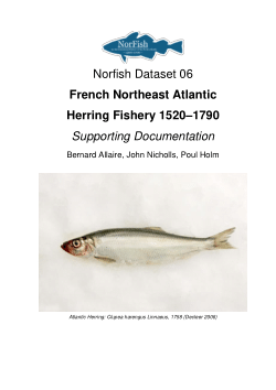 Norfish 06 French Northeast Atlantic Herring Fishery 1520–1790
