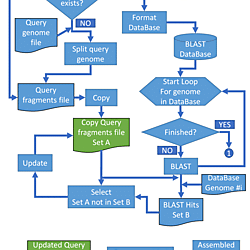 USEQ command pipeline flowchart.