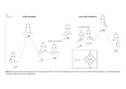 DFT Data to support article: Chemical Recycling of Poly(Cyclohexene Carbonate) using a Dinuclear Mg(II) Catalyst