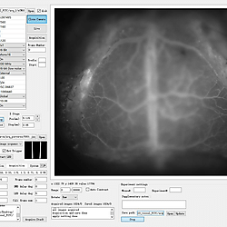 Vasculature Data from MFIAS