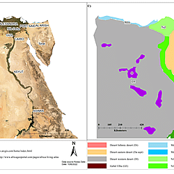 Phytogeographical regions of Egypt