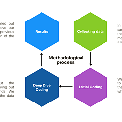Steps of the grounded theory methodological process