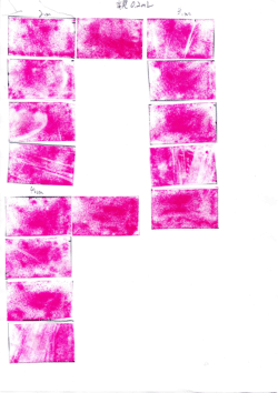 Handshake Feedback in Haptic Glove Using Pouch Actuators