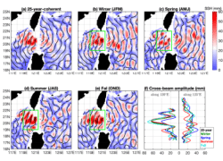Seasonal M2 internal tides from the Luzon Strait