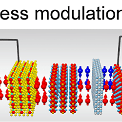Manipulating Exchange Bias in 2D Magnetic Heterojunction