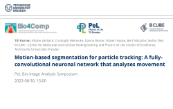Motion-based segmentation for particle tracking: A fully-convolutional neuronal network that analyses movement