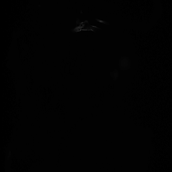 0.Raw .tiff images (z-stack) where each file is a sample.