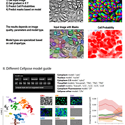 Simple Visual Cellpose Cheat Sheet
