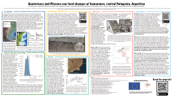 Quaternary and Pliocene sea-level changes at Camarones, central Patagonia, Argentina