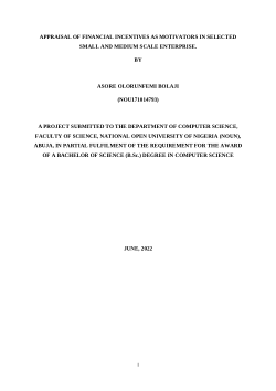 APPRAISAL OF FINANCIAL INCENTIVES AS MOTIVATORS IN SELECTED SMALL AND MEDIUM SCALE ENTERPRISE.