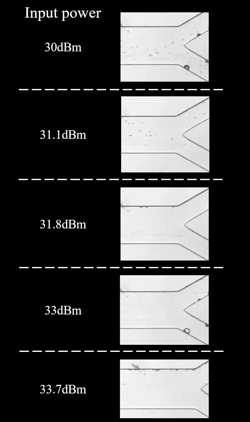 论文“使用倾斜角立面声波研究输入参数对声分离的影响的模拟和实验”视频