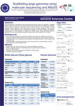 Scaffolding large genomes using mate-pair sequencing and ABySS