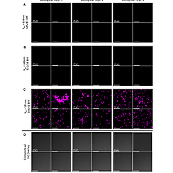SuppleFigS2 - 300dpi.tif