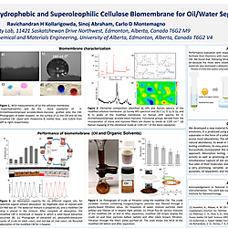 Fabrication of Superhydrophobic and Superoleophilic Cellulose Biomembrane for Oil/Water Separation